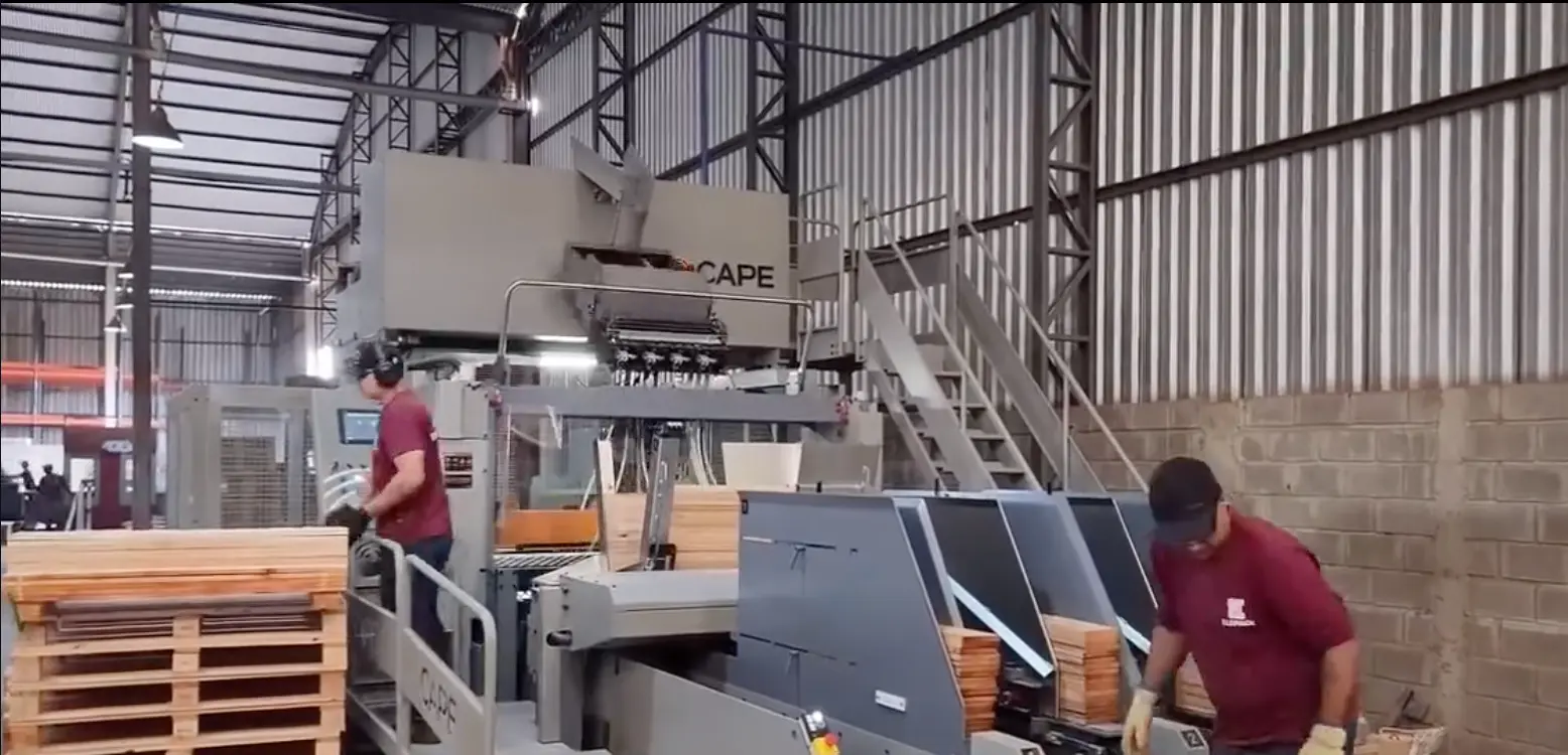 Pallets de madeira fabricados pela Elopack para indústrias do Vale do Paraíba
